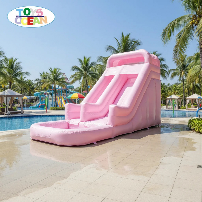 Professionelle Rosa Doppelbahn – Water Slide Inflatable Bewertung und Preis