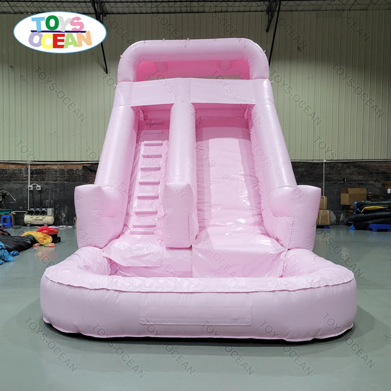 Professionelle Rosa Doppelbahn – Water Slide Inflatable Bewertung und Preis