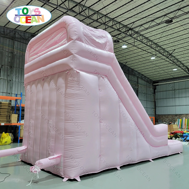 Professionelle Rosa Doppelbahn – Water Slide Inflatable Bewertung und Preis