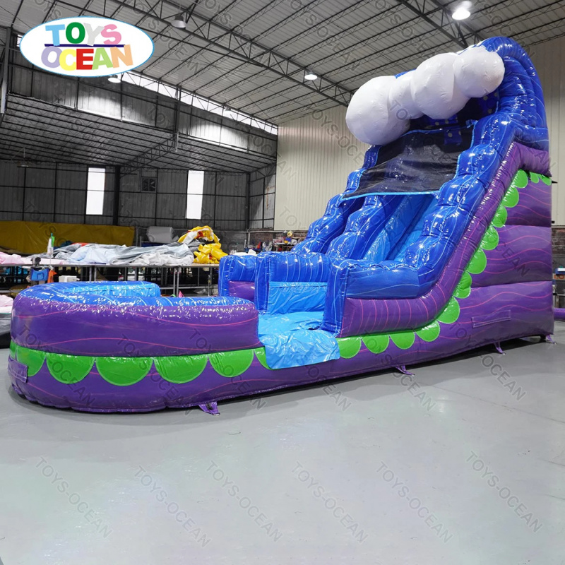 Kommerzielle aufblasbare Wasse – Water Slide Inflatable Bewertung und Preis